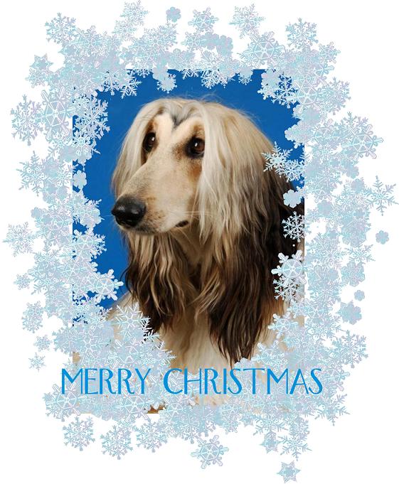 marry christmas-yasani.JPG