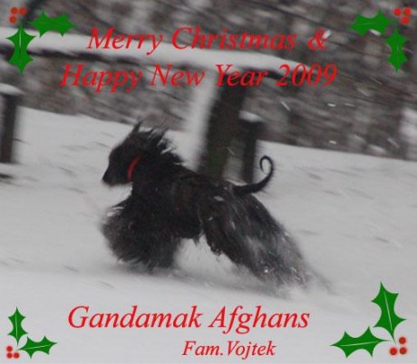 Gandamak PF09.JPG