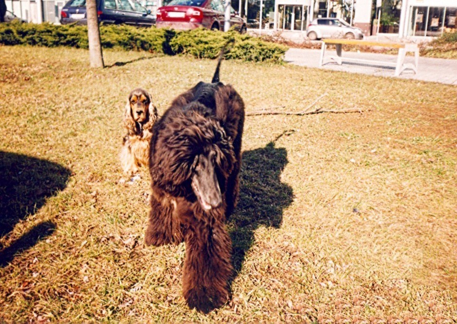 Yuso_11m_4.jpg