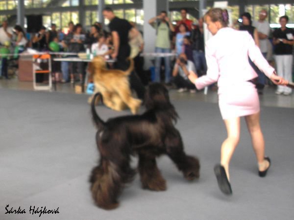 B4.jpg